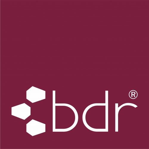 bdr_logo im Kasten_RGB